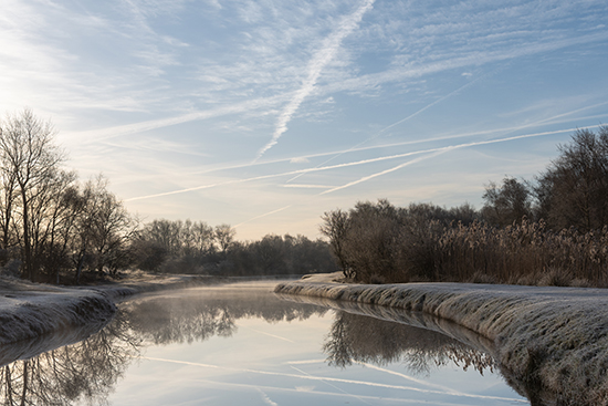 Landschapsfotografie Natuurfotografie Amsterdamse Waterleidingduinen