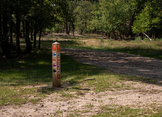 Persoonlijkheidstypes Analisten