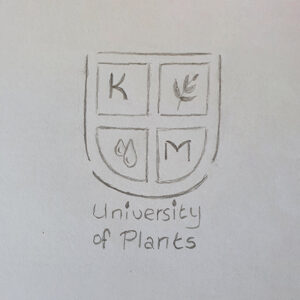 Kiem University logo ontwerp door Marketing from A to Z Zaandijk