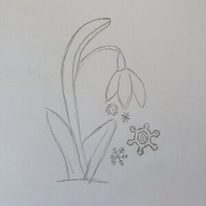 Snow Drop sneeuwklokje logo ontwerp door Marketing from A to Z Zaandijk